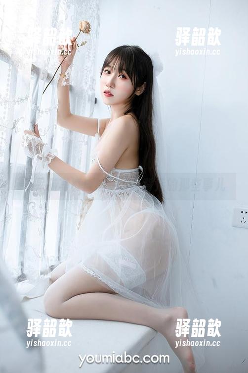 不呆猫写真：油亮色彩背后的那些事儿